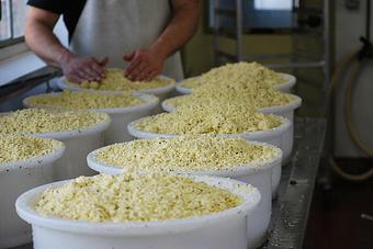Product - Cherry Grove Farm in Lawrence Township, NJ Food & Beverage
