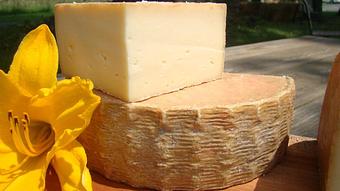 Product: Toma Primavera - Cherry Grove Farm in Lawrence Township, NJ Food & Beverage