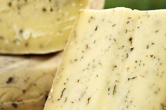 Product: Full Nettle Jack, our Jack cheese melded with spring nettles. - Cherry Grove Farm in Lawrence Township, NJ Food & Beverage