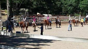 Product - Cimarron Ranch in Putnam Valley, NY Farms