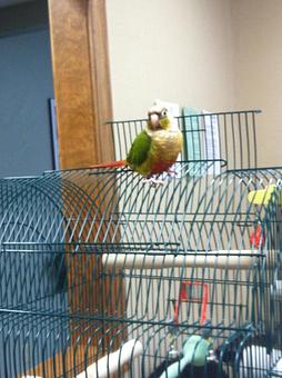 Product - Circle Kennel Club in Green Bay, WI Pet Boarding & Grooming Product - Circle Kennel Club in Green Bay, WI Pet Boarding & Grooming