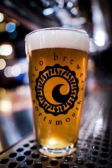 Product - Cisco Brewers Portsmouth in Portsmouth, NH Restaurants/Food & Dining