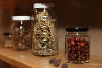 Product - City Acupuncture in New York, NY Acupressure & Acupuncture Specialists
