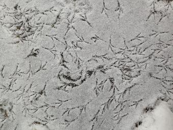 Product - Clear Yoga in Rhinebeck, NY Yoga Instruction