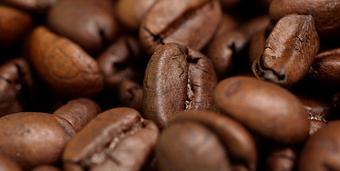 Product - Coffee Trader in Montrose, CO Coffee, Espresso & Tea House Restaurants