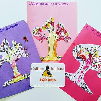Product - Collina Italiana in New York, NY Education