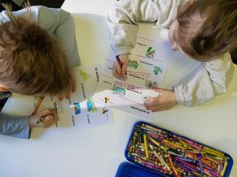Product - Collina Italiana in New York, NY Education