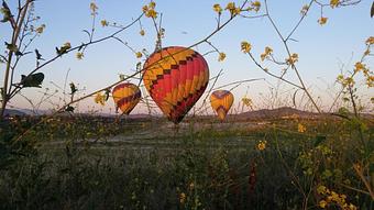 Product - Compass Balloons in Encinitas, CA Travel & Tourism