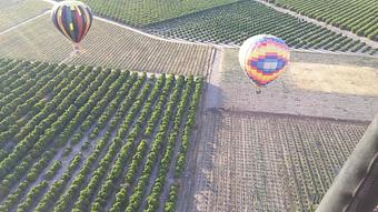 Product - Compass Balloons in Encinitas, CA Travel & Tourism