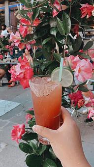 Product - Cosmica in South End - Boston, MA Bars & Grills