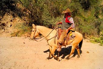 Product - Cowboy Way Adventures in Cottonwood, AZ Christian Churches