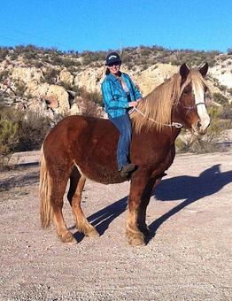 Product - Cowboy Way Adventures in Cottonwood, AZ Christian Churches