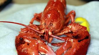 Product - Crab Corner in Las Vegas, NV Seafood Restaurants