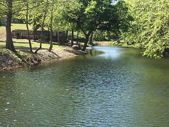 Product - Creekside Resort in Hunt, TX American Restaurants