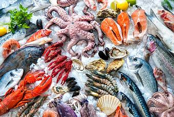 Product - Crisfield Seafood Restaurant in Silver Spring, MD Seafood Restaurants