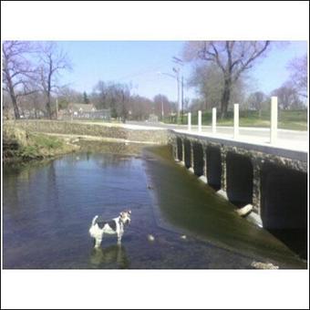 Product - Critter Sitter Connection in Greater Kansas City Area - Kansas City, MO Pet Care Services