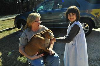 Product: We love goats too!!! - Critter Sitters - America's Oldest & Largest In-Home Pet Sitting Comp in Search by zip code - Atlanta, GA Pet Care Services