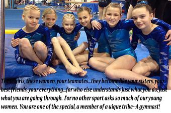 Product - Crystal Coast Gymnastics in Crystal Coast Business Park - Newport, NC Sports & Recreational Services