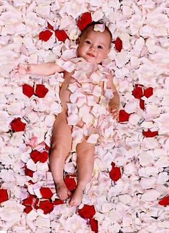 Product: My beautiful granddaughter Isabbella covered in rose petals - Davidoff Studios Photography in Palm Springs, FL Misc Photographers