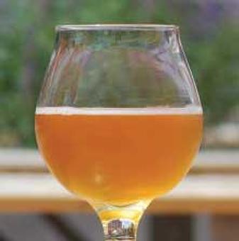 Product - Denizens Brewing in Silver Spring, MD Restaurants/Food & Dining