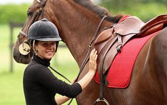 Product - Denver Equestrians Riding School in Littleton, CO Pet Care Services