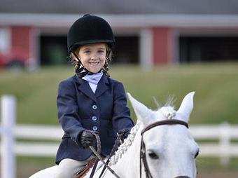 Product - Denver Equestrians Riding School in Littleton, CO Pet Care Services