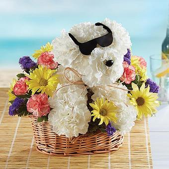 Product - Designs by Guzzardo's in MILWAUKEE, WI Shopping & Shopping Services