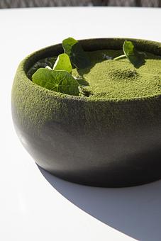 Product - Destroyer in Culver City, CA Restaurants/Food & Dining