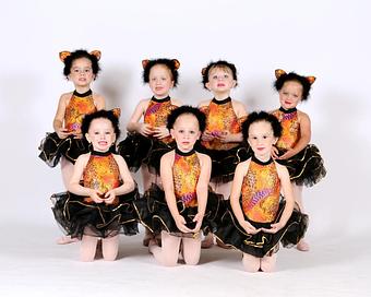 Product - Diamond Dance Academy in Near Johnson Ranch - Bulverde, TX Dance Companies