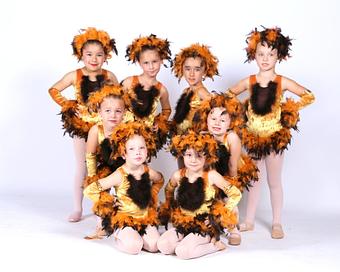 Product - Diamond Dance Academy in Near Johnson Ranch - Bulverde, TX Dance Companies