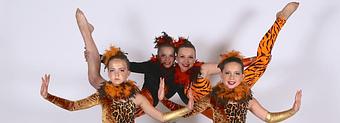 Product - Diamond Dance Academy in Near Johnson Ranch - Bulverde, TX Dance Companies