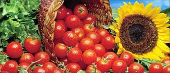 Product: Superior Food Photographer - Digital View Studio in Plainview - Plainview, NY Business Services