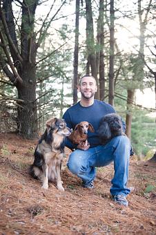 Product - Doggy Do's Professional Dog Grooming in Avon, CT Pet Boarding & Grooming