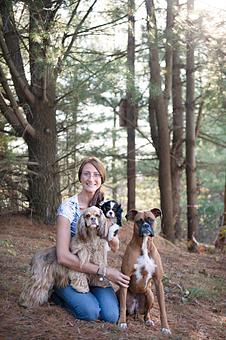 Product - Doggy Do's Professional Dog Grooming in Avon, CT Pet Boarding & Grooming