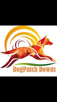 Product - Dogpatch Downs in Ocala, FL Pet Care Services