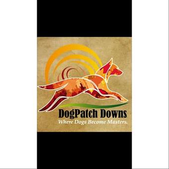 Product - Dogpatch Downs in Ocala, FL Pet Care Services