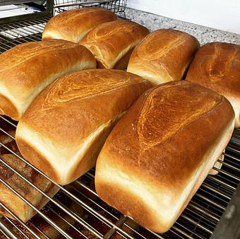 Product: Fresh-baked bread! Made in-house with no chemical preservatives. - Dom Bakeries North Carolina in North Wilkesboro, NC Bakeries