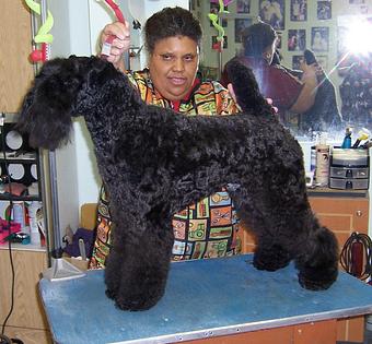 Product - Dorian's Cutting Edge in Las Vegas, NV Beauty Salons