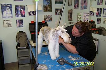 Product - Dorian's Cutting Edge in Las Vegas, NV Beauty Salons