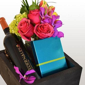 Product - Dr Delphinium Design Center in Dallas, TX Shopping & Shopping Services