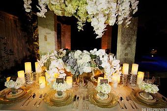 Product - Dr Delphinium Flower & Orchid House in Richardson, TX Florists