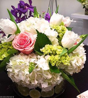 Product - Dr Delphinium Flower & Orchid House in Richardson, TX Florists