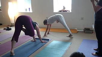 Product - East Meets West Yoga Center in Vienna, VA Yoga Instruction
