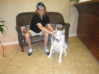 Product - Eldorado Pet Grooming in McKinney, TX Pet Boarding & Grooming