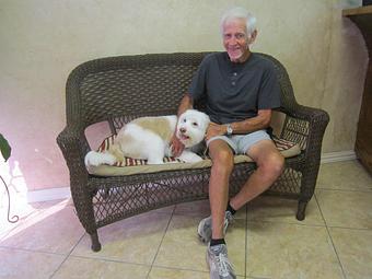 Product - Eldorado Pet Grooming in McKinney, TX Pet Boarding & Grooming