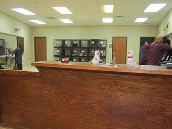 Product - Eldorado Pet Grooming in McKinney, TX Pet Boarding & Grooming