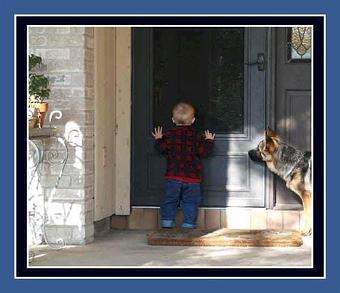 Product - Elite German Shepherds in Luling, TX Restaurants/Food & Dining