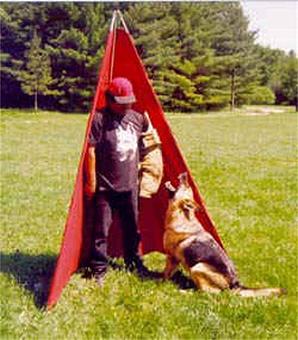 Product - Elite German Shepherds in Luling, TX Restaurants/Food & Dining