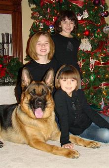 Product - Elite German Shepherds in Luling, TX Restaurants/Food & Dining