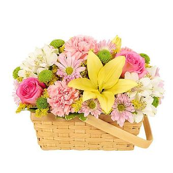 Product - Elohim Florist in Killeen, TX Florists